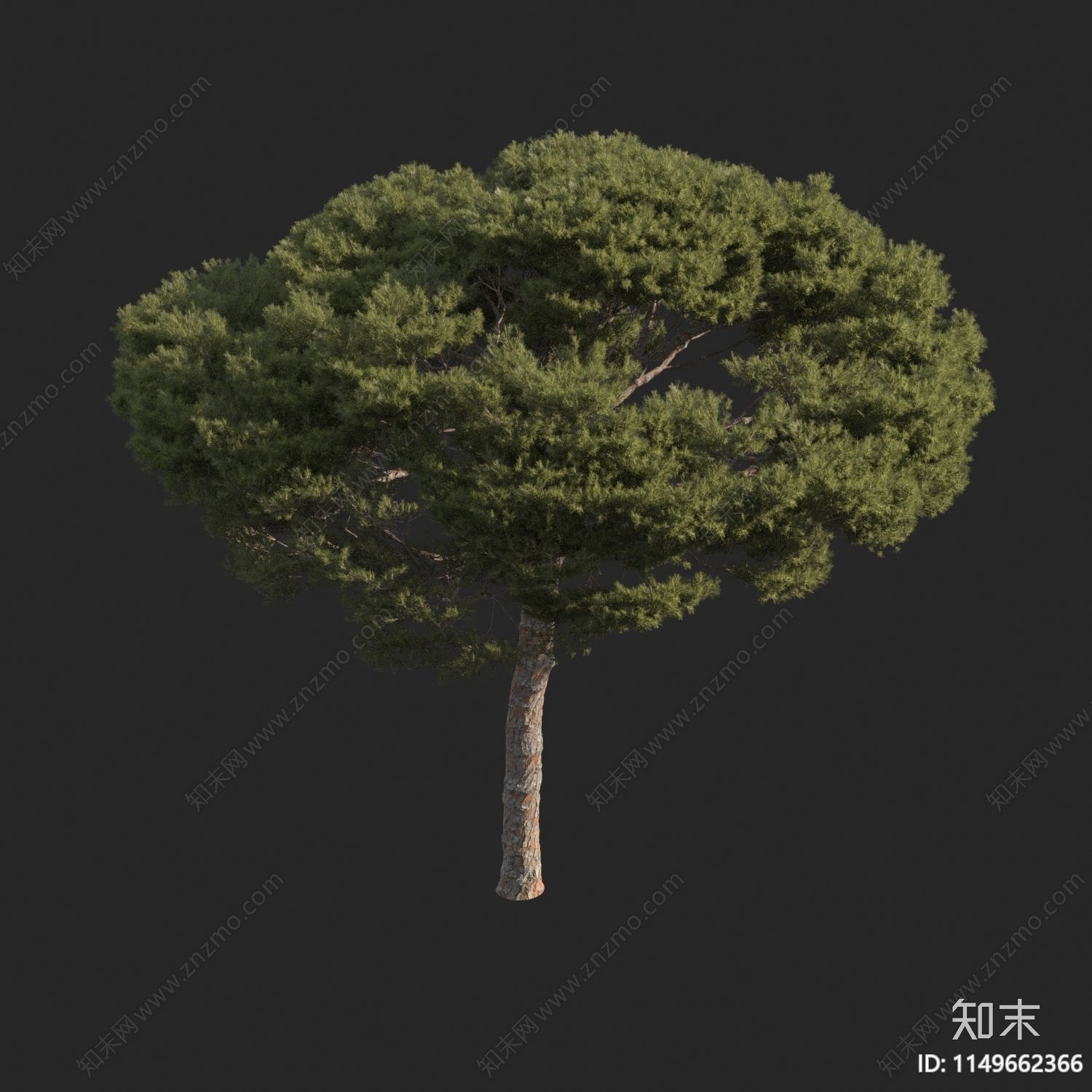 景观树3D模型下载【ID:1149662366】