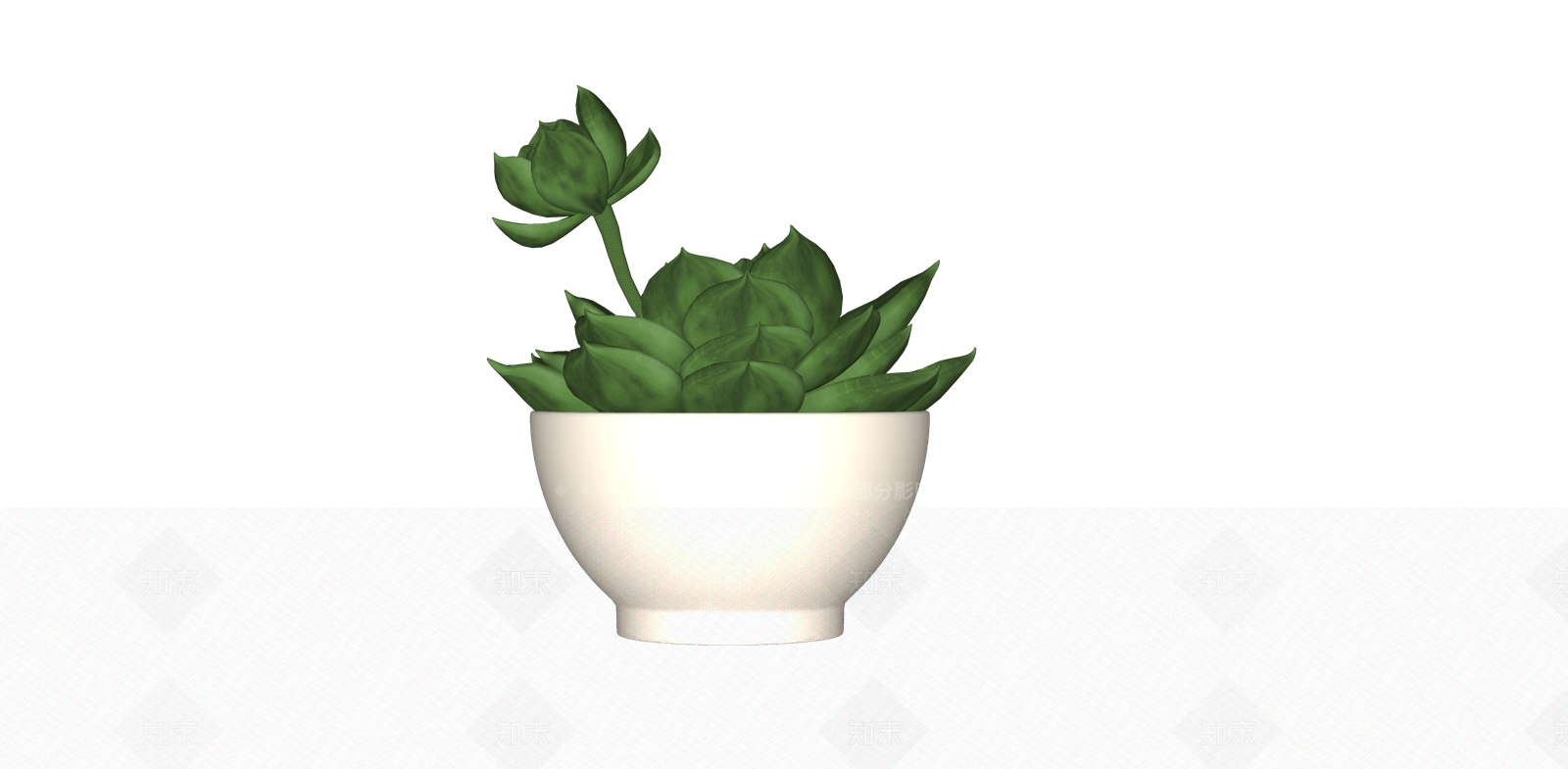 多肉植物SU模型下载【ID:1149704240】