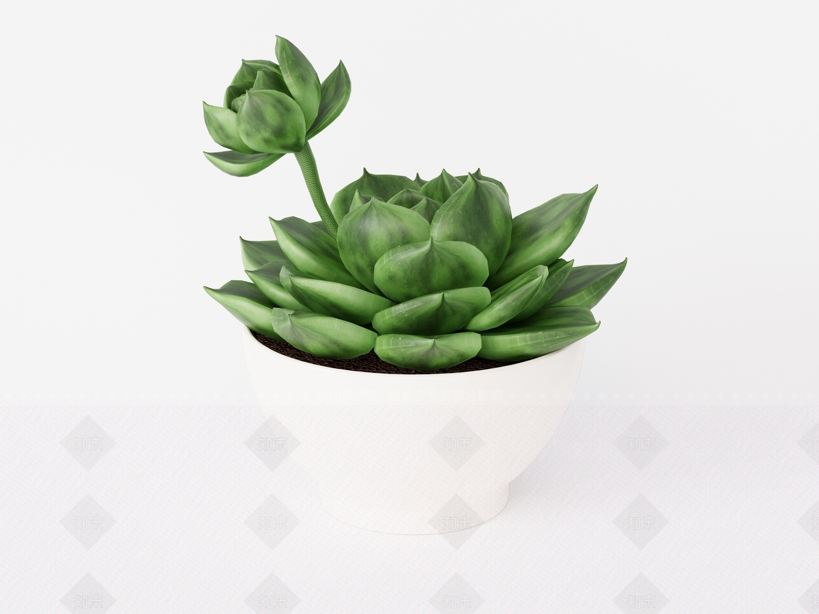 多肉植物SU模型下载【ID:1149704240】