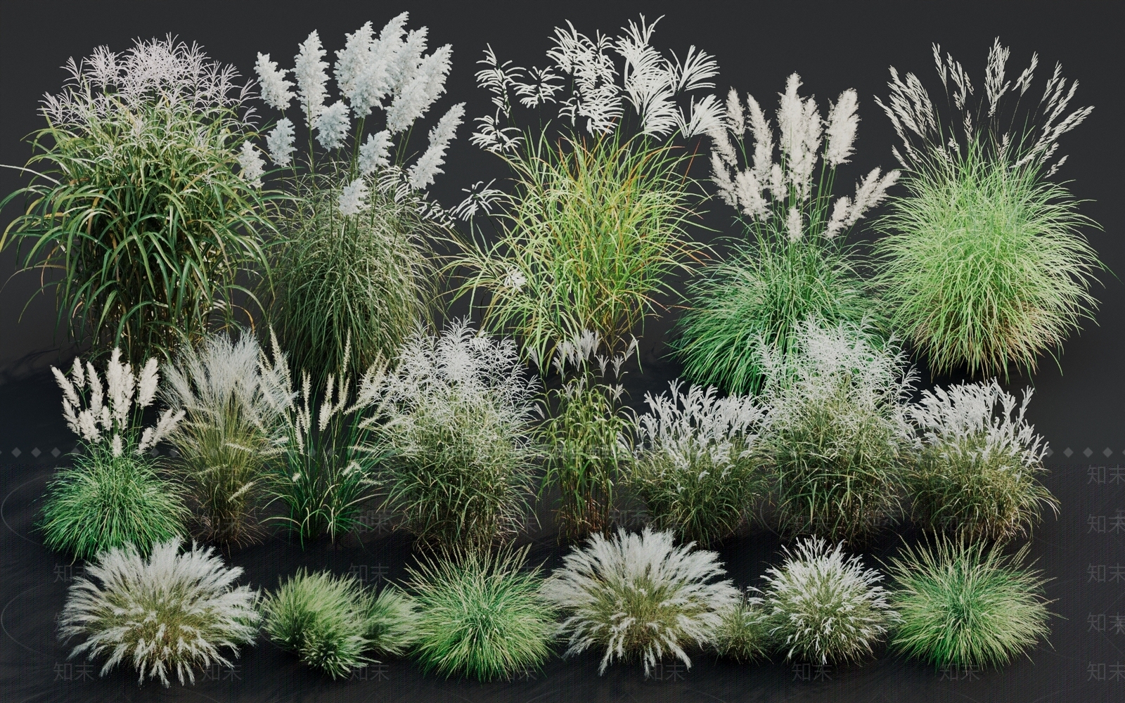 芦苇SU模型下载【ID:1149718870】