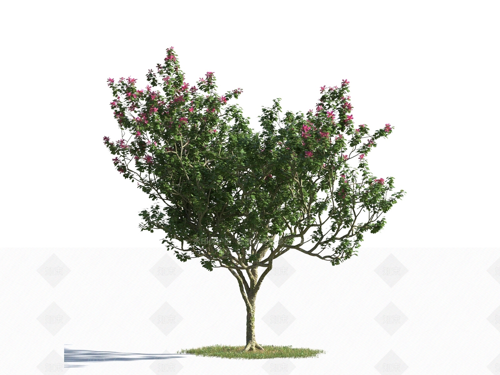 乔木3D模型下载【ID:1149923253】