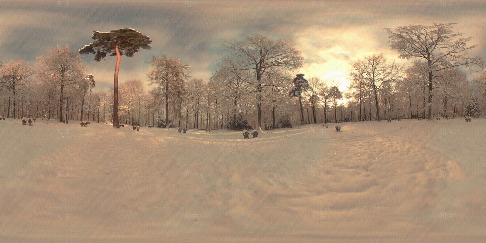 HDR户外雪景黄昏森林全景贴图下载【ID:1149930708】