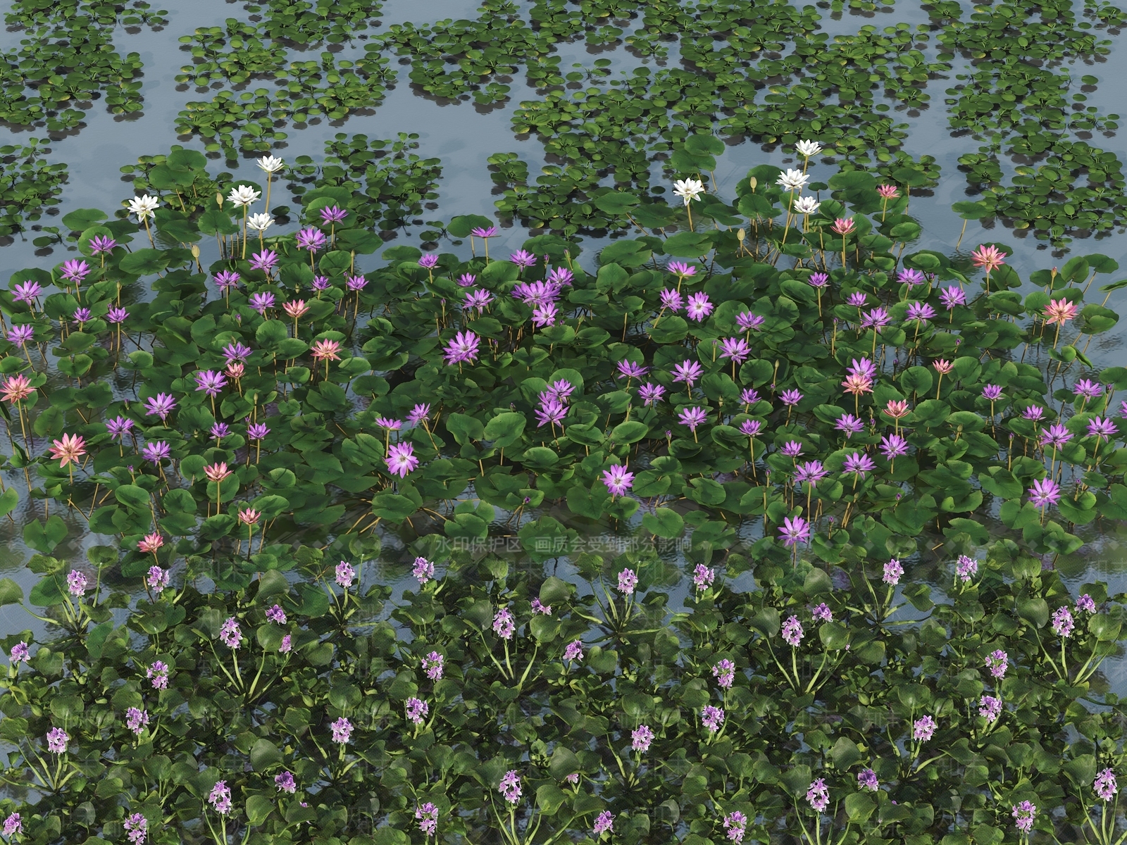 水草3D模型下载【ID:1149977710】
