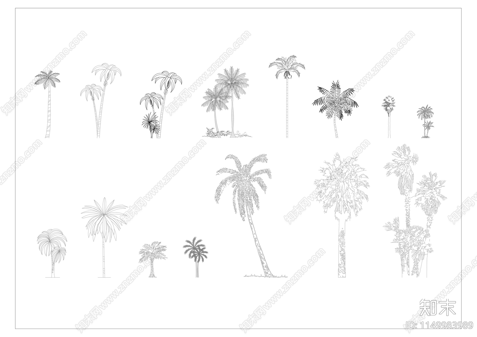热带植物椰子树施工图下载【ID:1149983989】