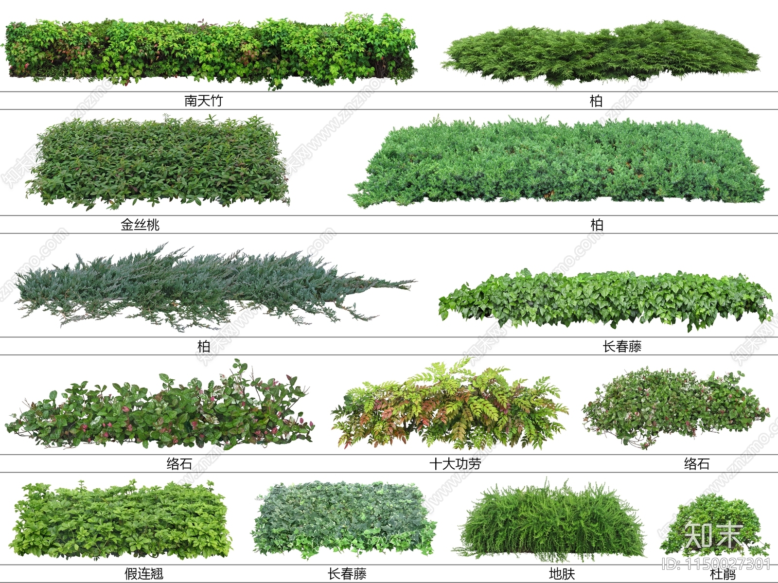 地被植物设计素材精品下载_知末网