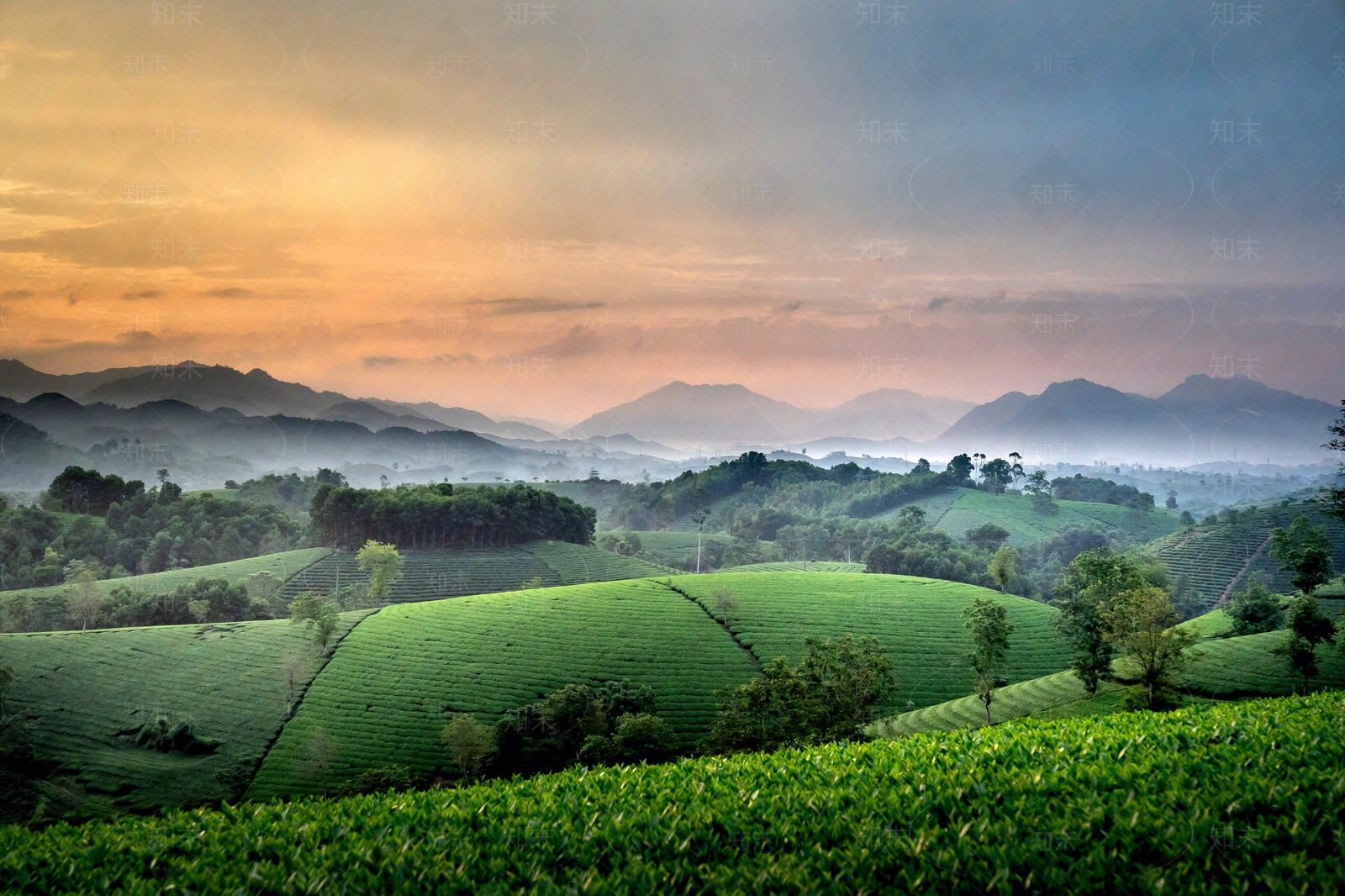 大自然贴图下载【ID:1150686494】