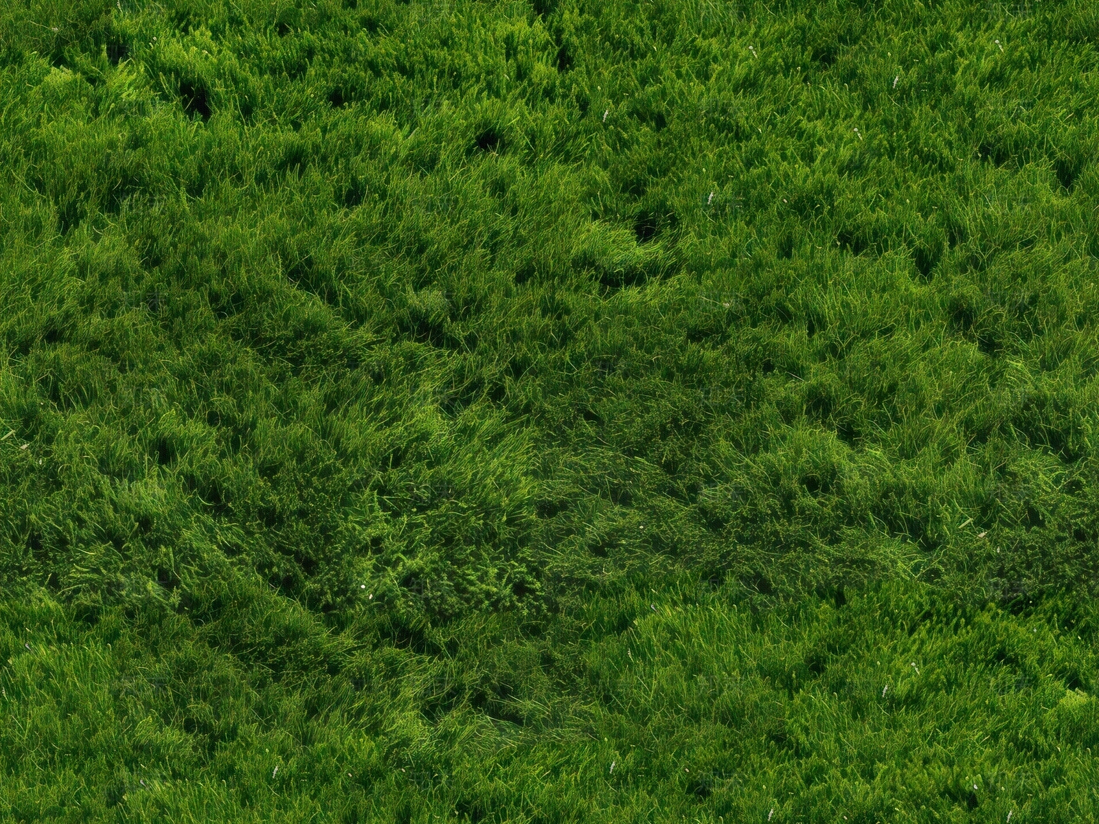 无缝草皮草坪贴图下载【ID:1150093746】