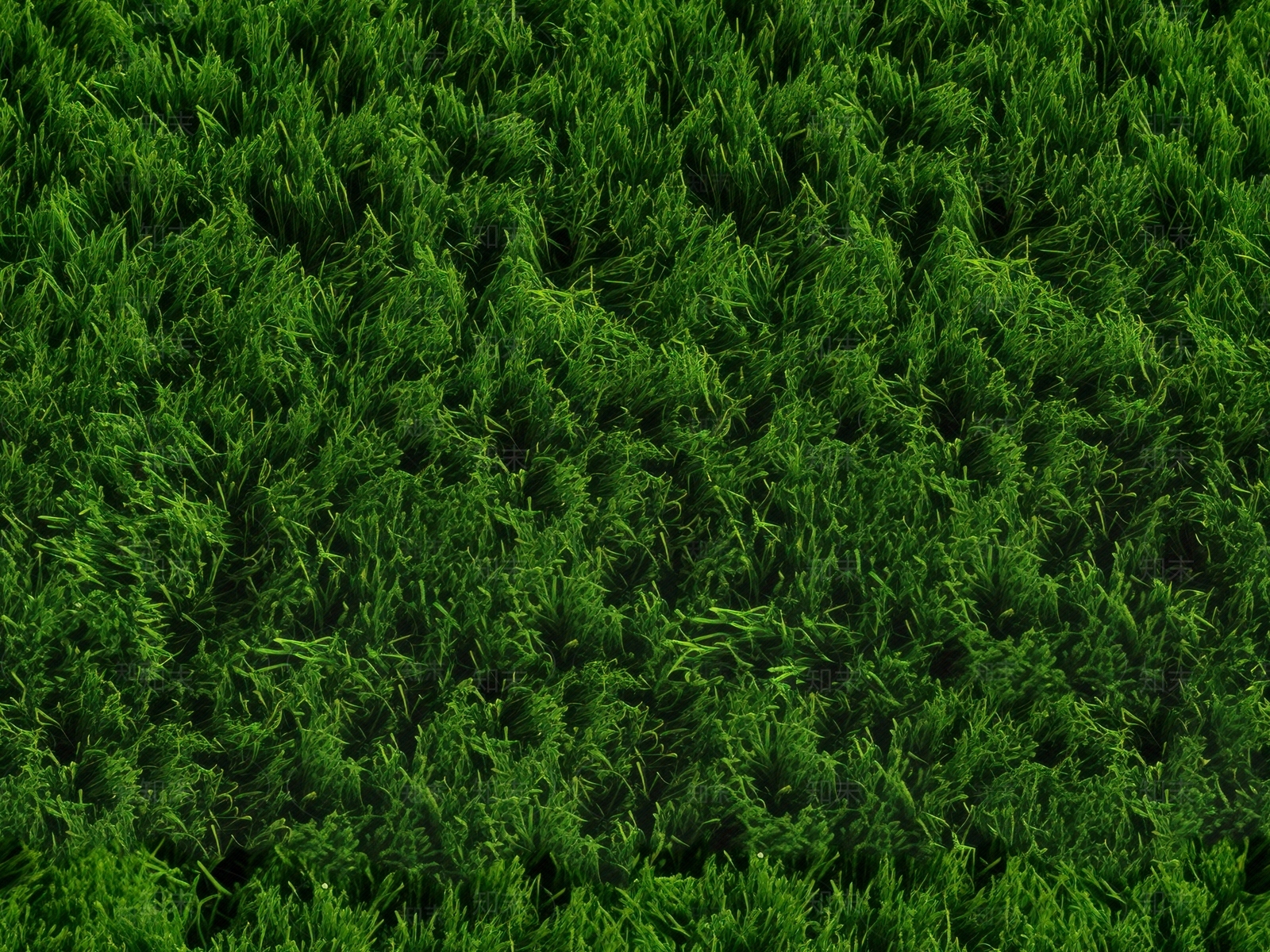 无缝草皮草坪绿植地面贴图下载【ID:1150093935】