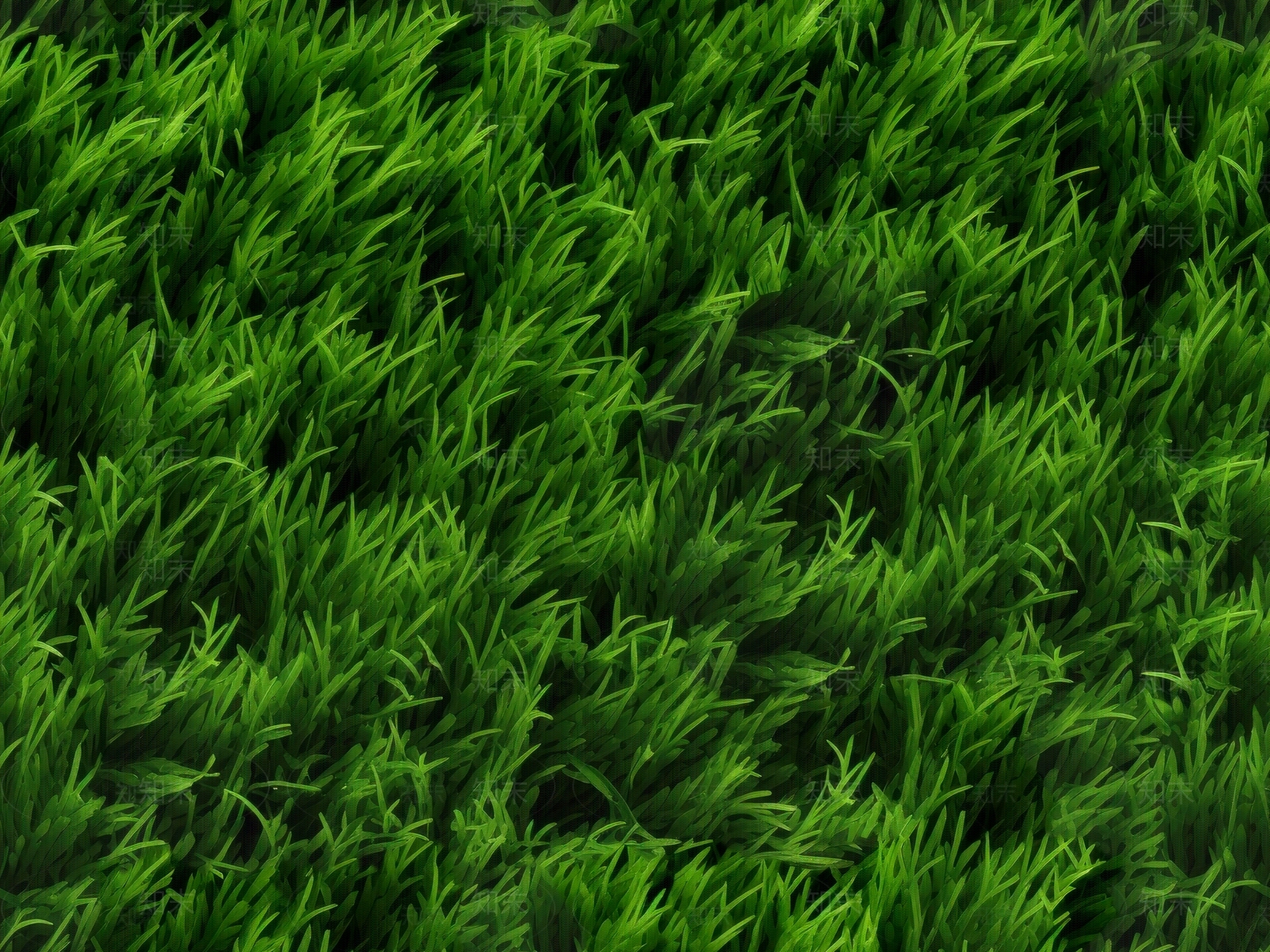 无缝草皮草坪绿植地面贴图下载【ID:1150094036】