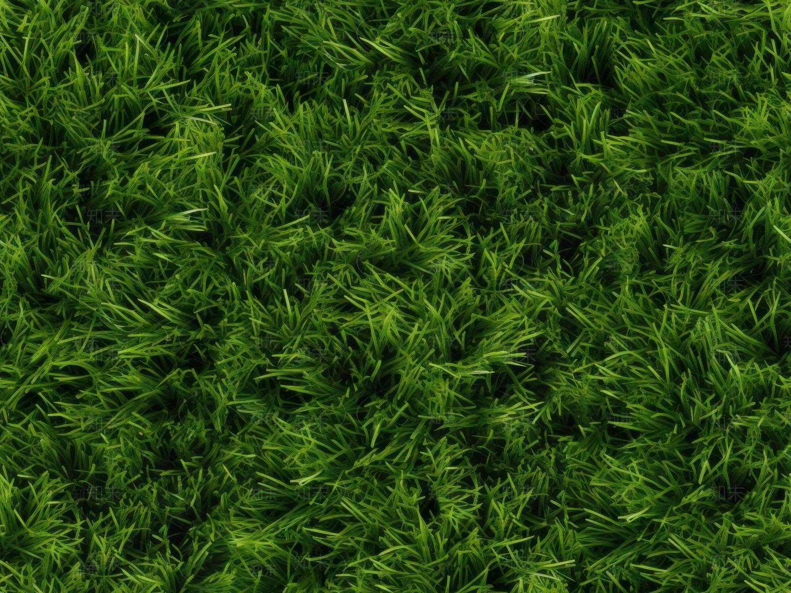 无缝草皮草坪绿植地面贴图下载【ID:1150094138】