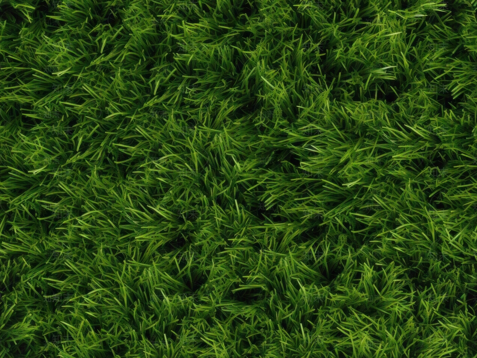 无缝草皮草坪绿植地面贴图下载【ID:1150094244】