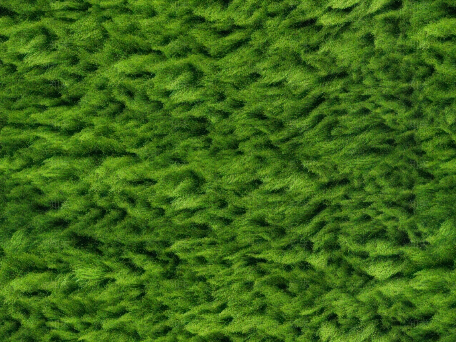 无缝草皮草坪绿植地面贴图下载【ID:1150095121】