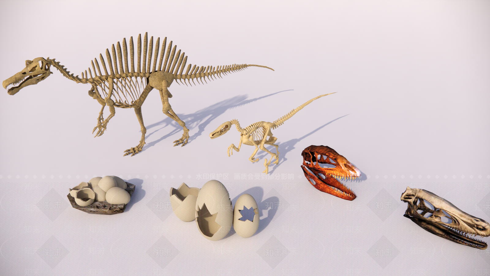 现代恐龙化石SU模型下载【ID:1150133789】