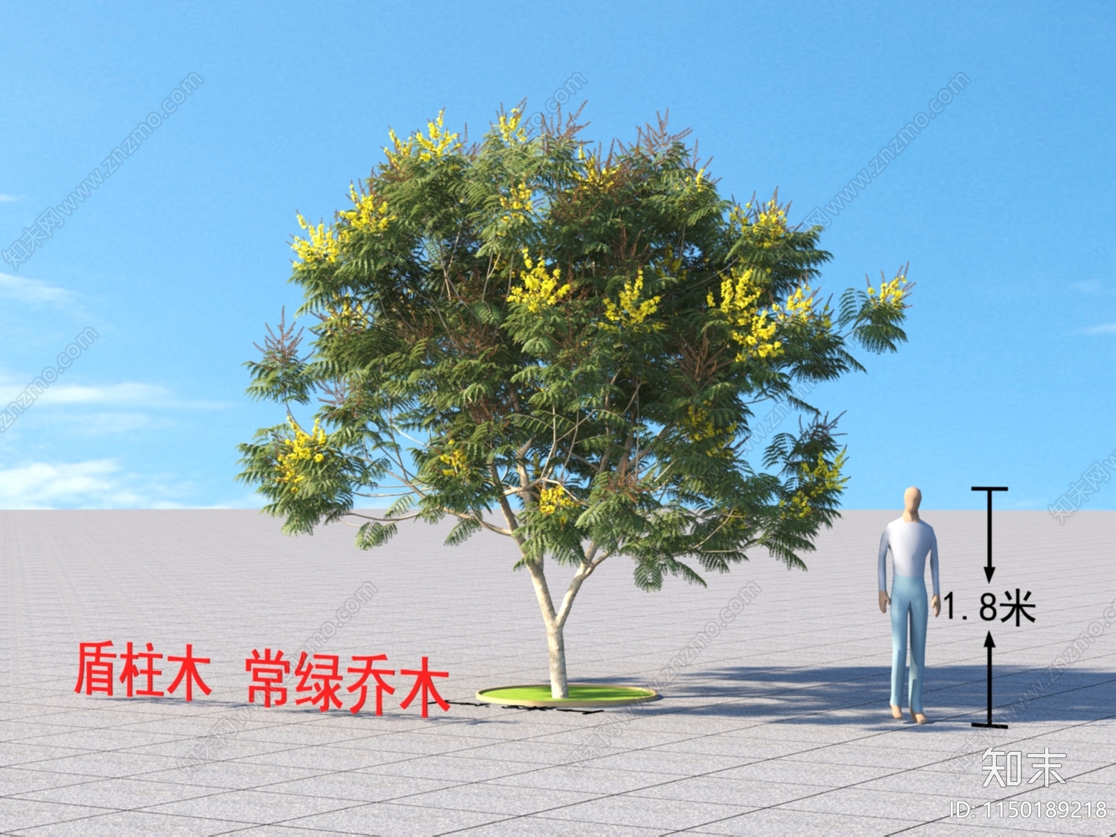 盾柱木3D模型下载【ID:1150189218】