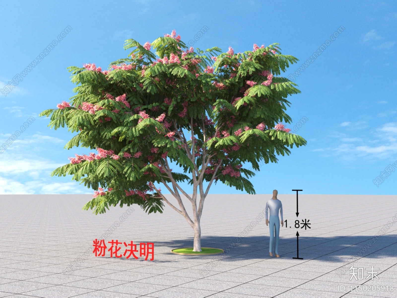 粉花决明3D模型下载【ID:1150205918】