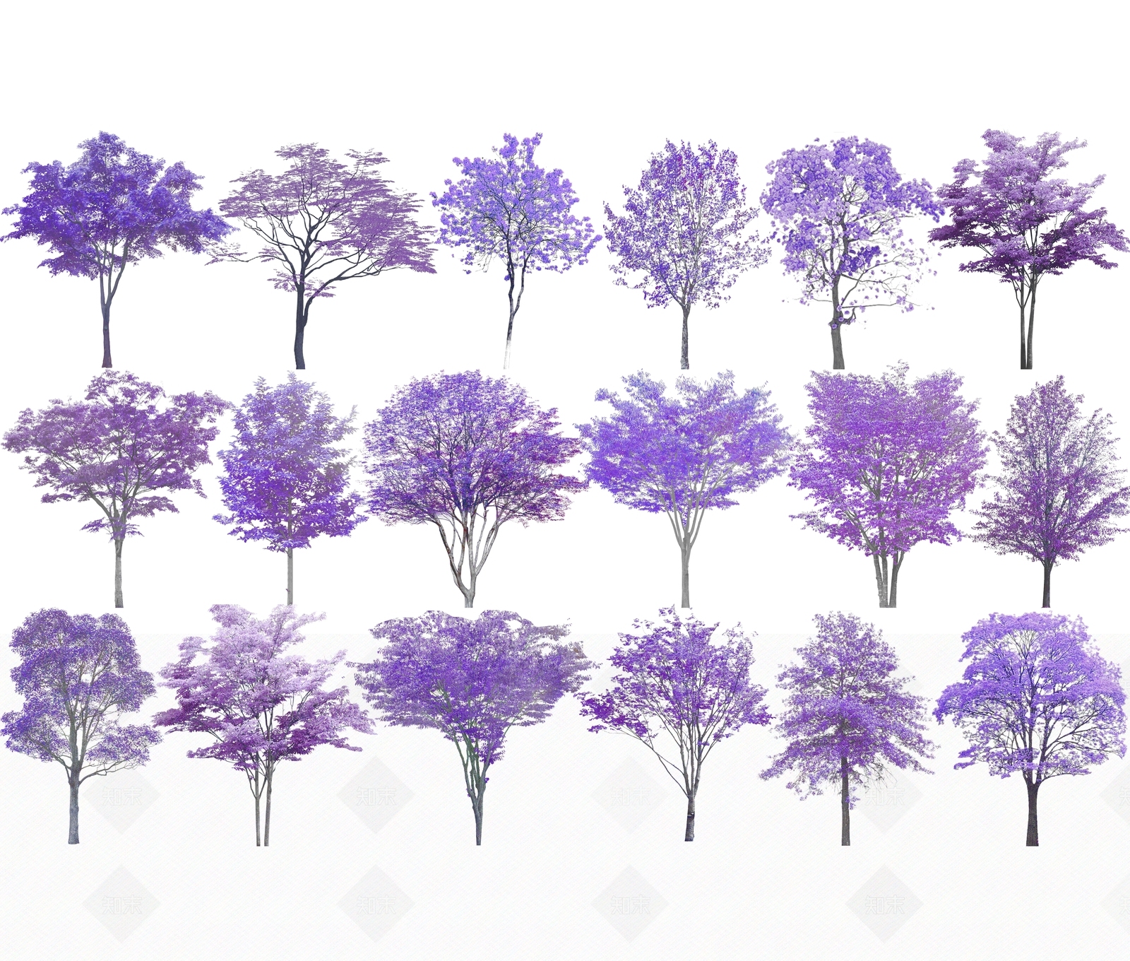 2D蓝花楹SU模型下载【ID:1150252906】