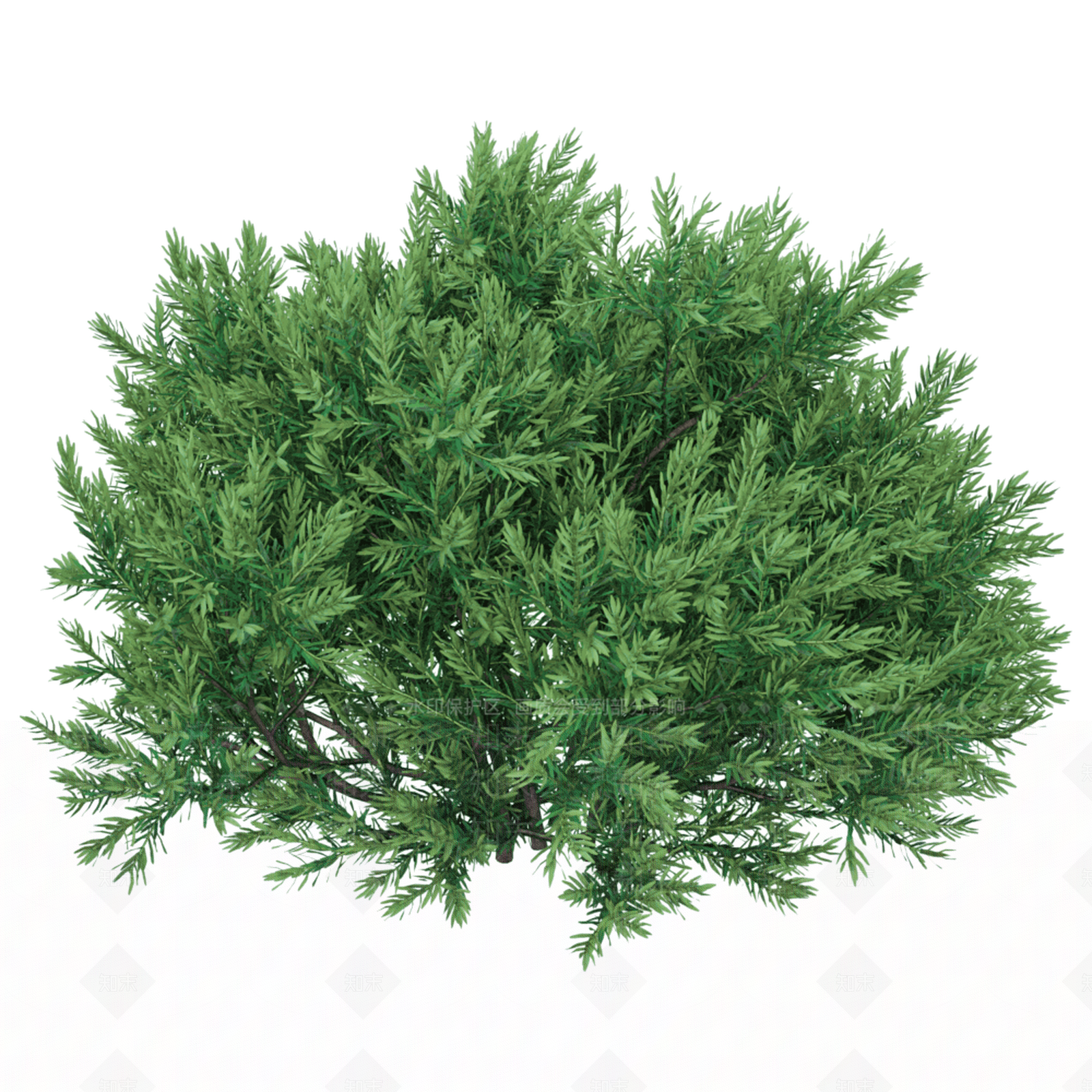 植物灌木3D模型下载【ID:1150275457】