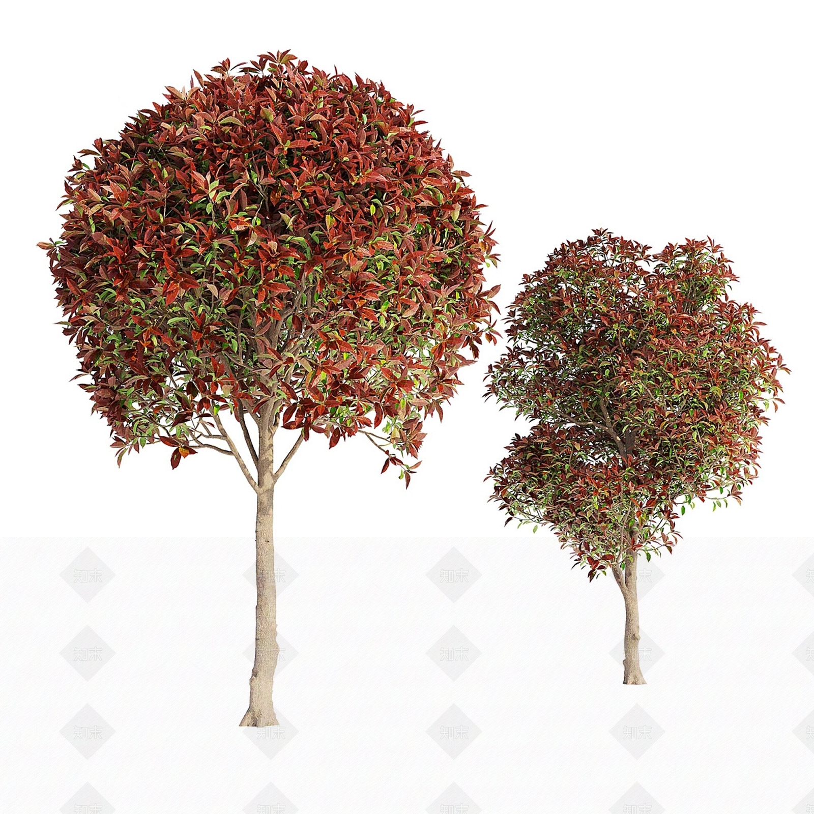 灌木3D模型下载【ID:1150287624】