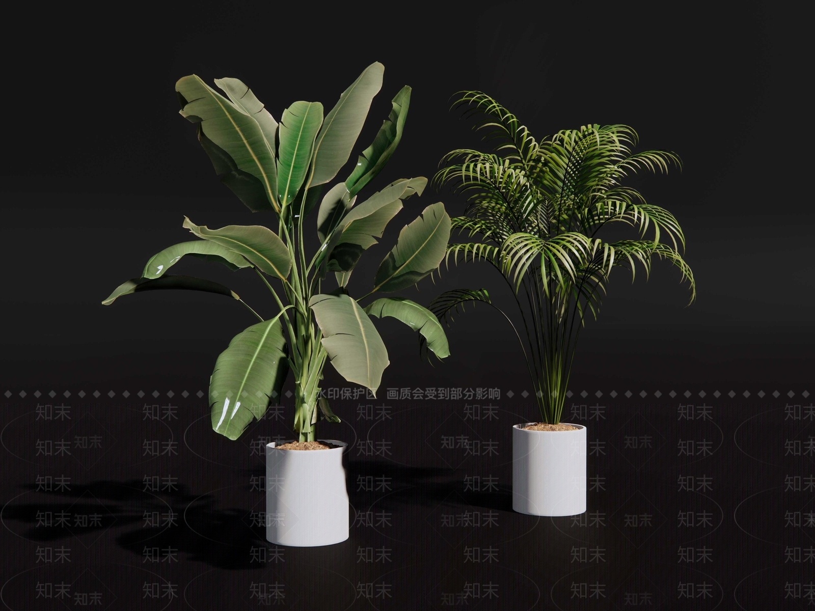 大叶植物SU模型下载【ID:1150301853】