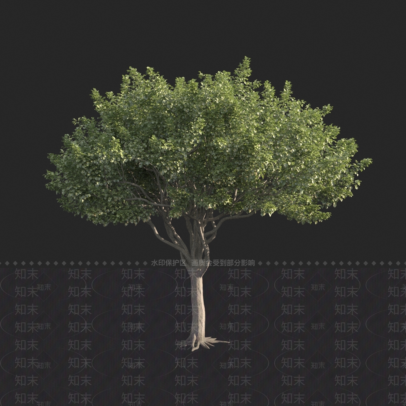乔木3D模型下载【ID:1150307929】