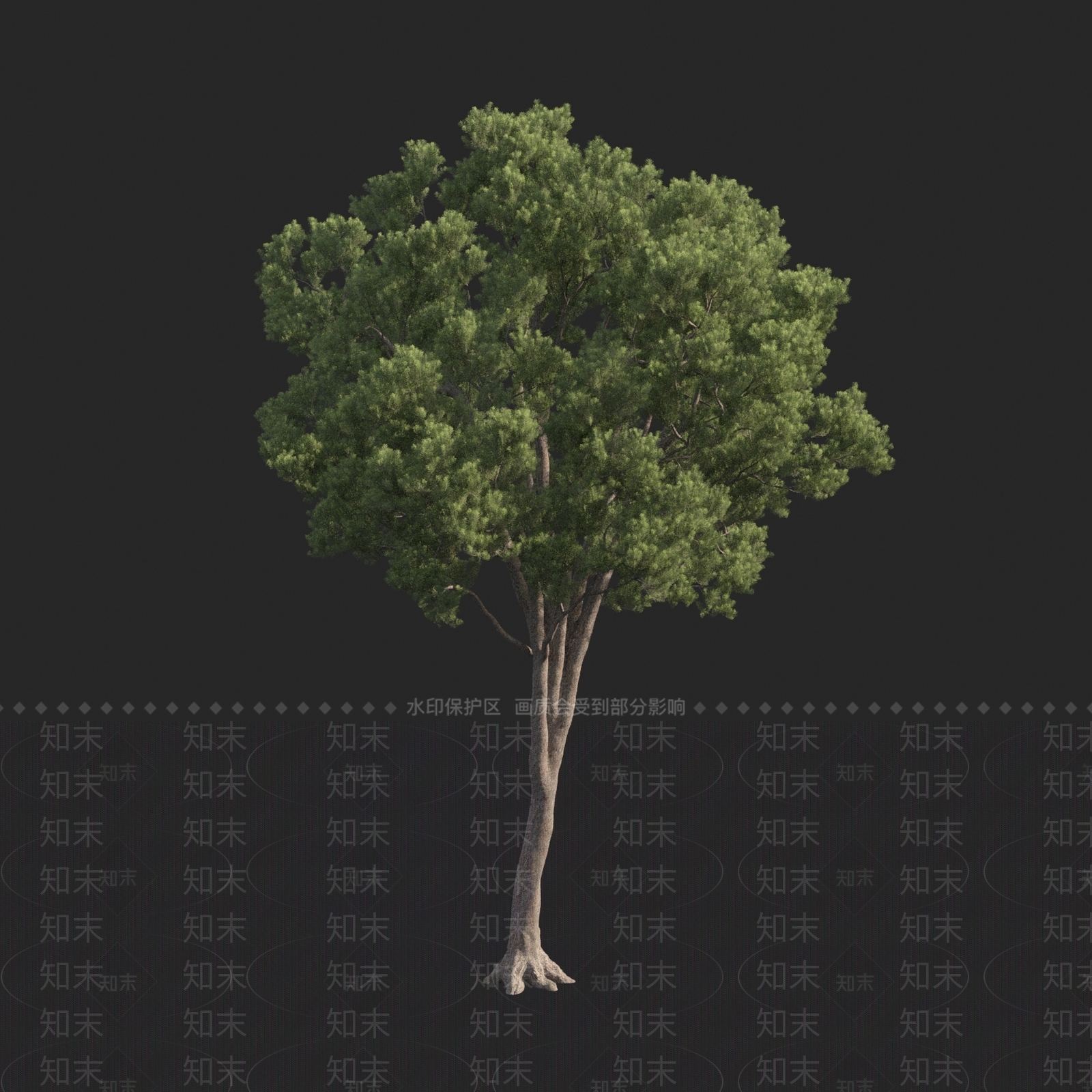 松树3D模型下载【ID:1150308447】