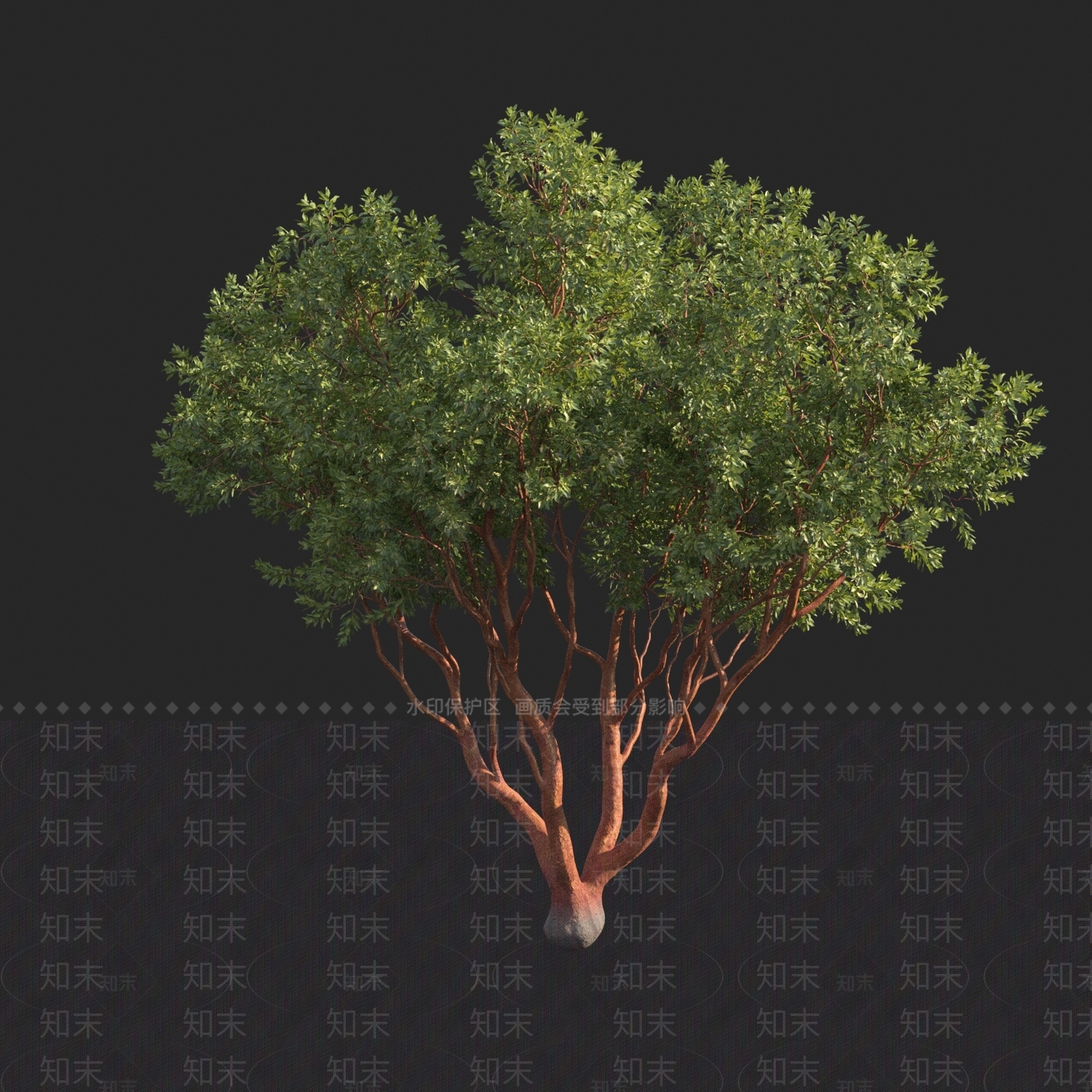 乔木3D模型下载【ID:1150308666】