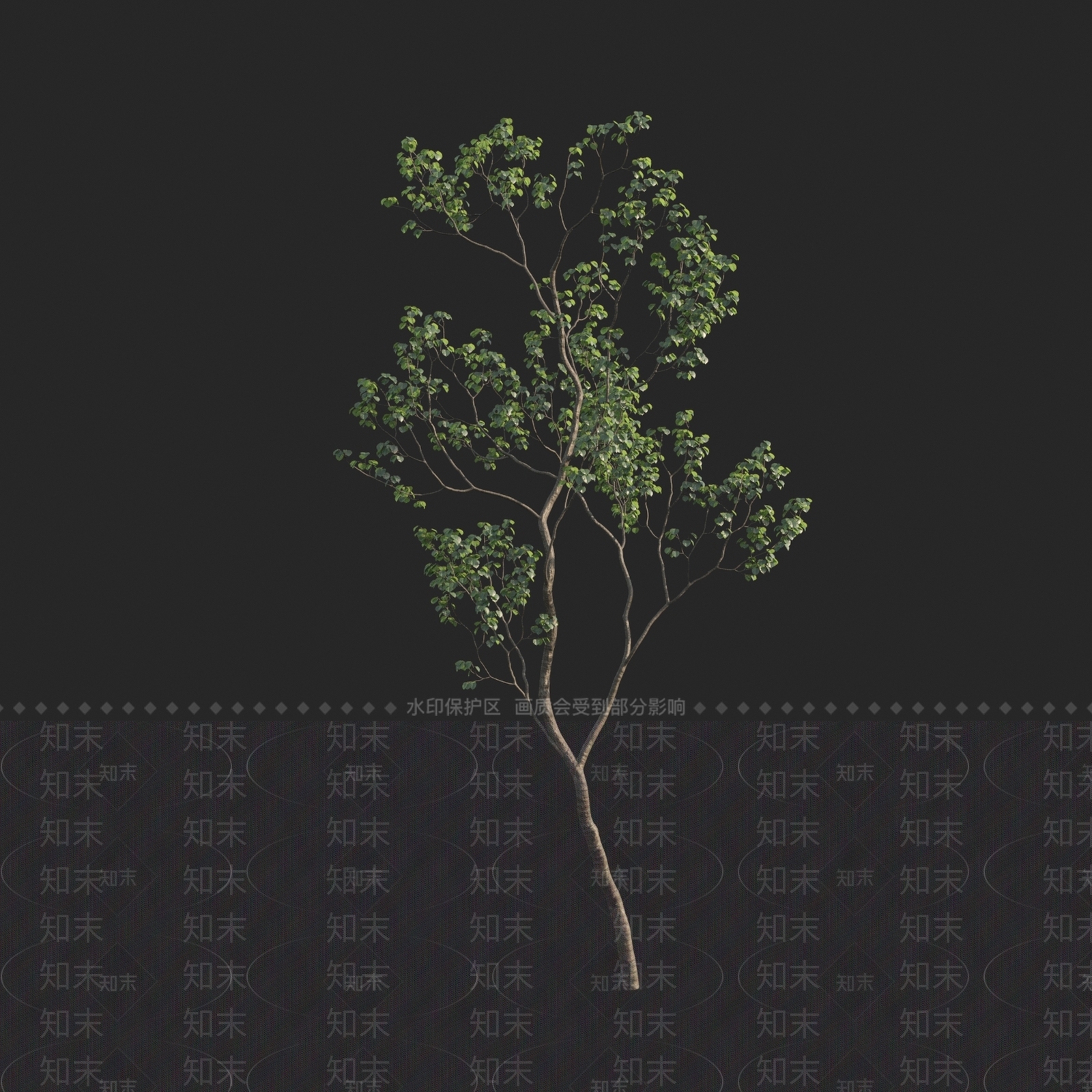 乔木3D模型下载【ID:1150308768】