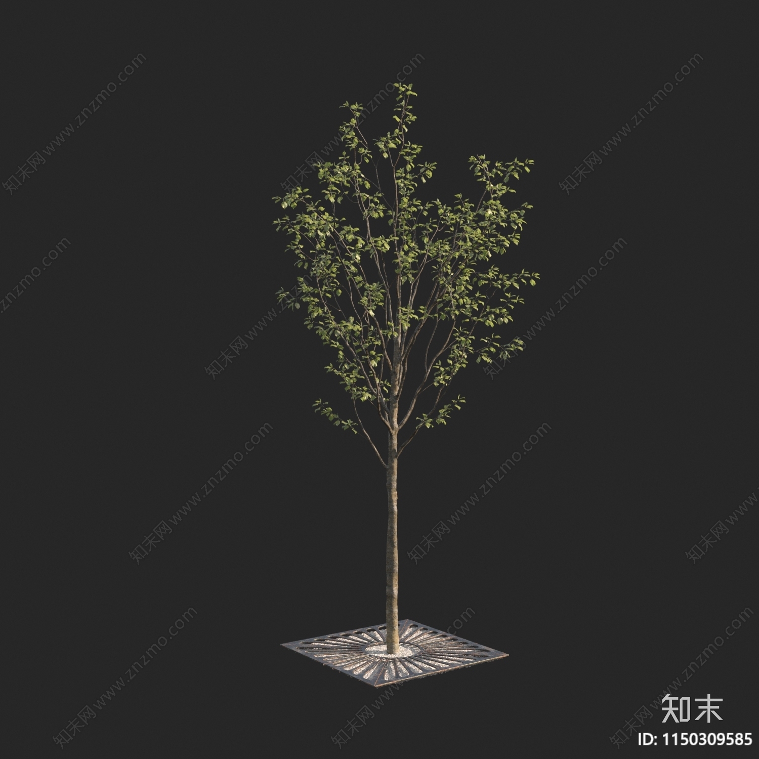 现代树3D模型下载【ID:1150309585】