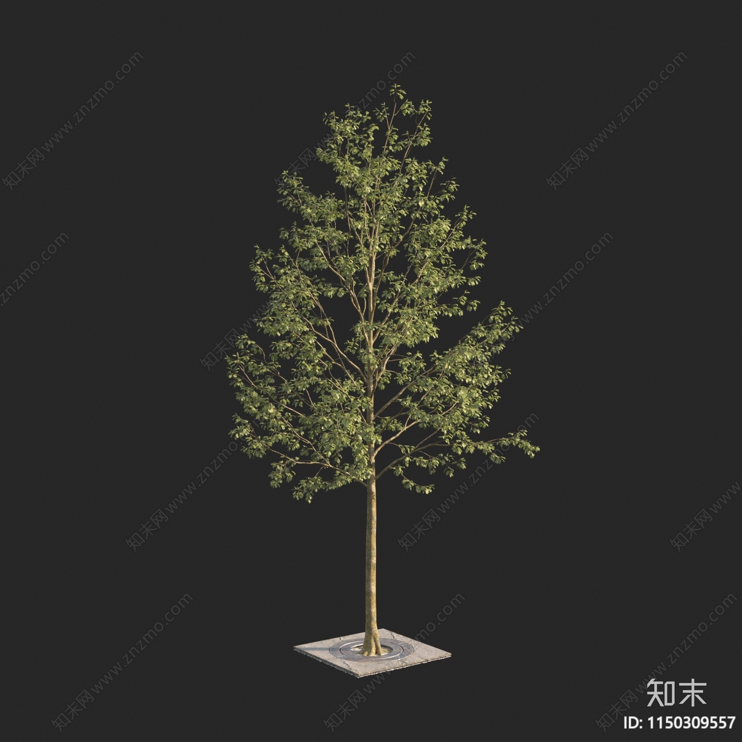 现代树3D模型下载【ID:1150309557】