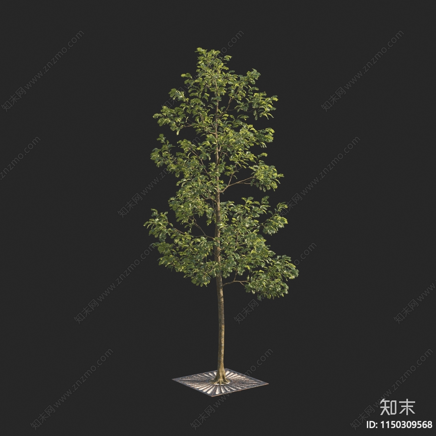 现代树3D模型下载【ID:1150309568】