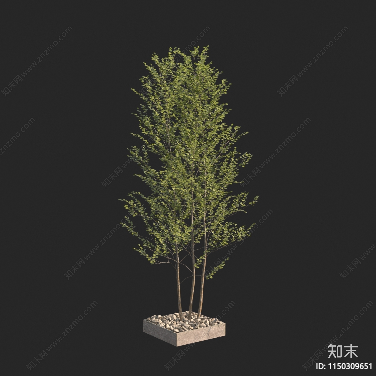 现代树3D模型下载【ID:1150309651】