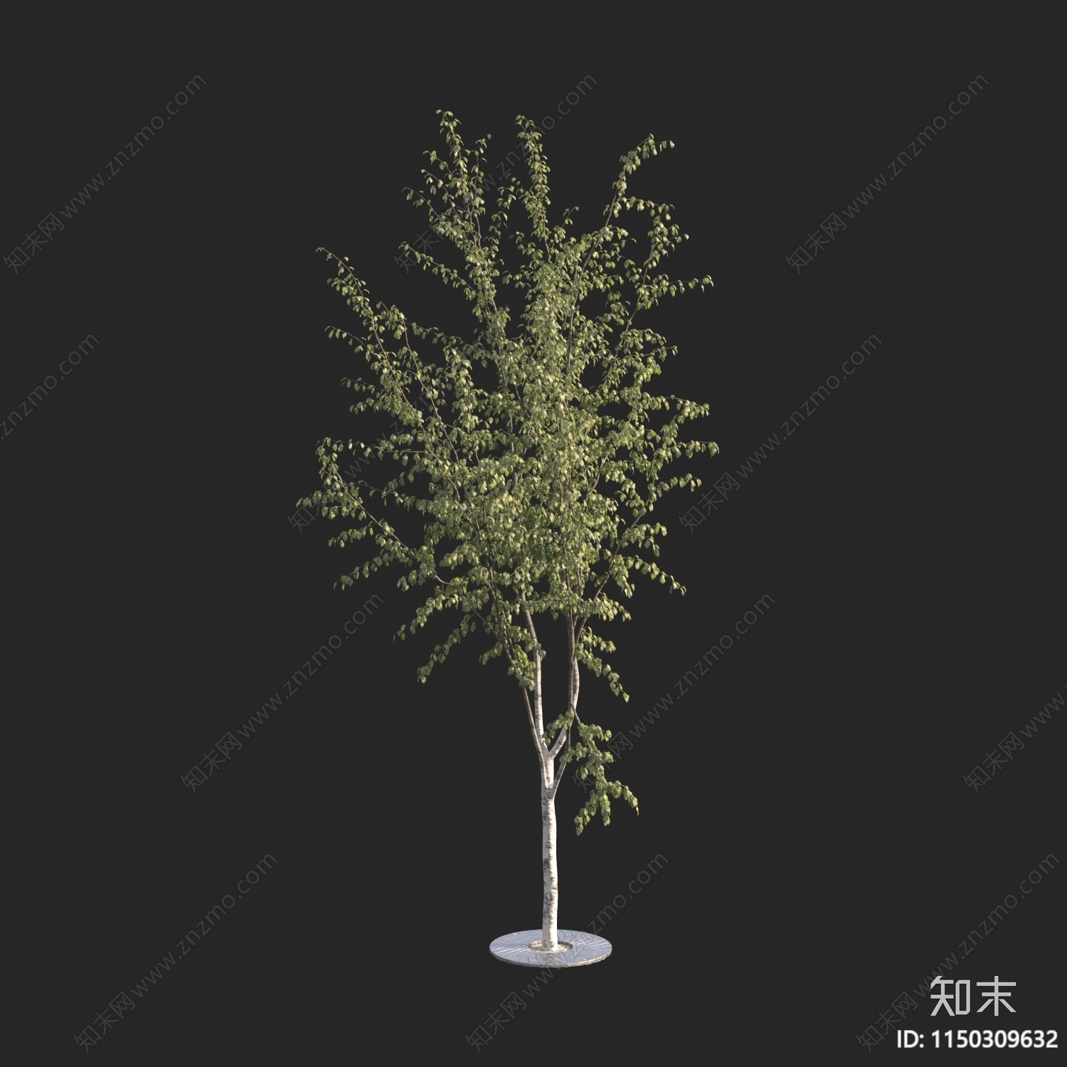 现代树3D模型下载【ID:1150309632】