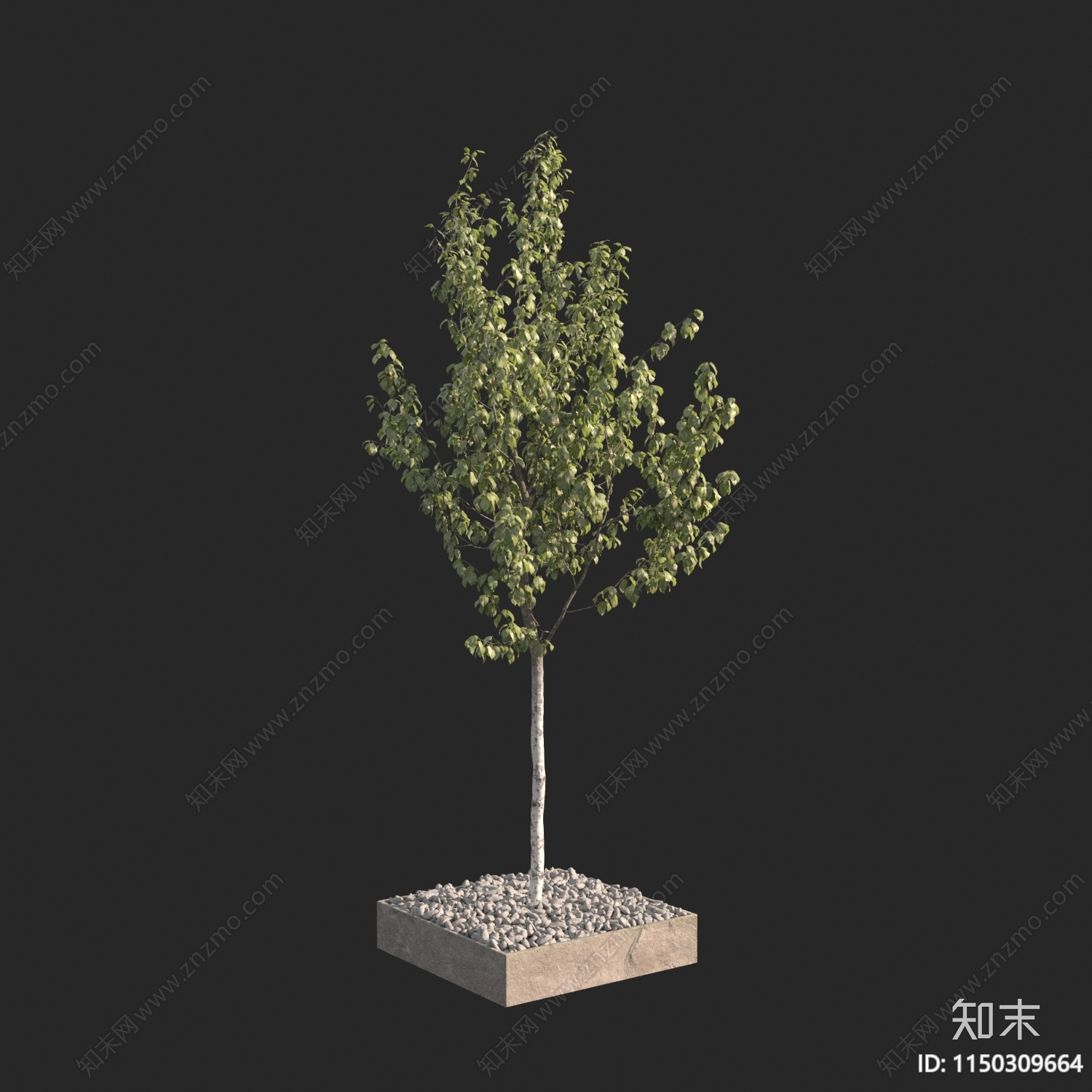 现代树3D模型下载【ID:1150309664】