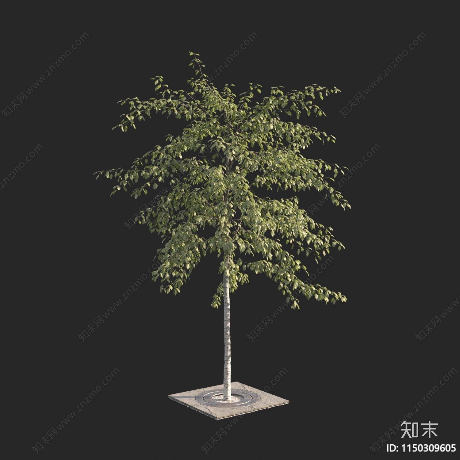 现代树3D模型下载【ID:1150309605】