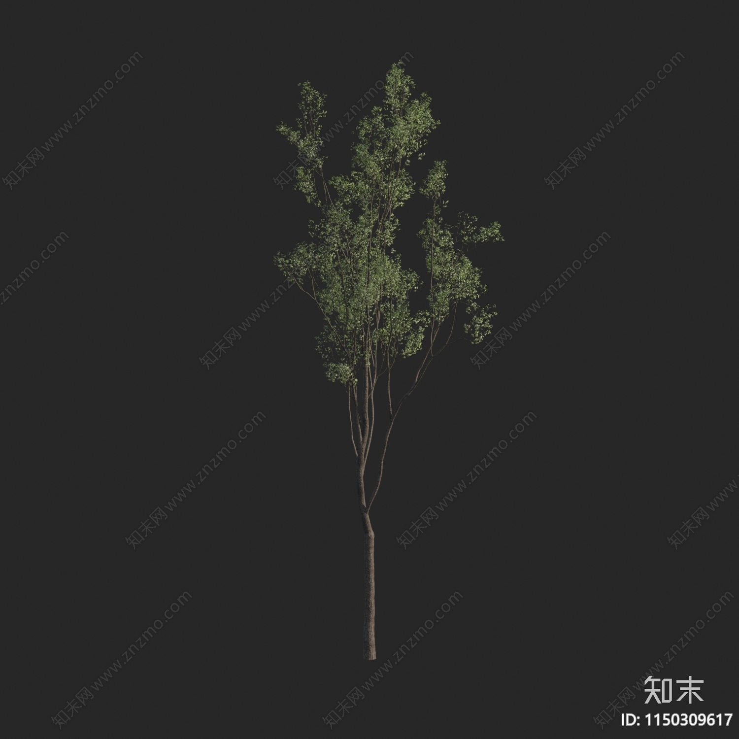 现代树3D模型下载【ID:1150309617】