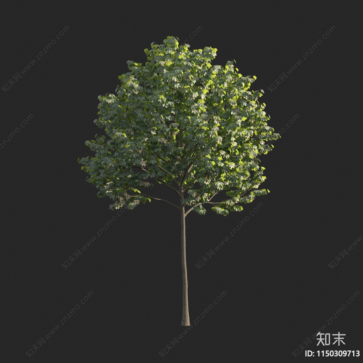 现代树3D模型下载【ID:1150309713】