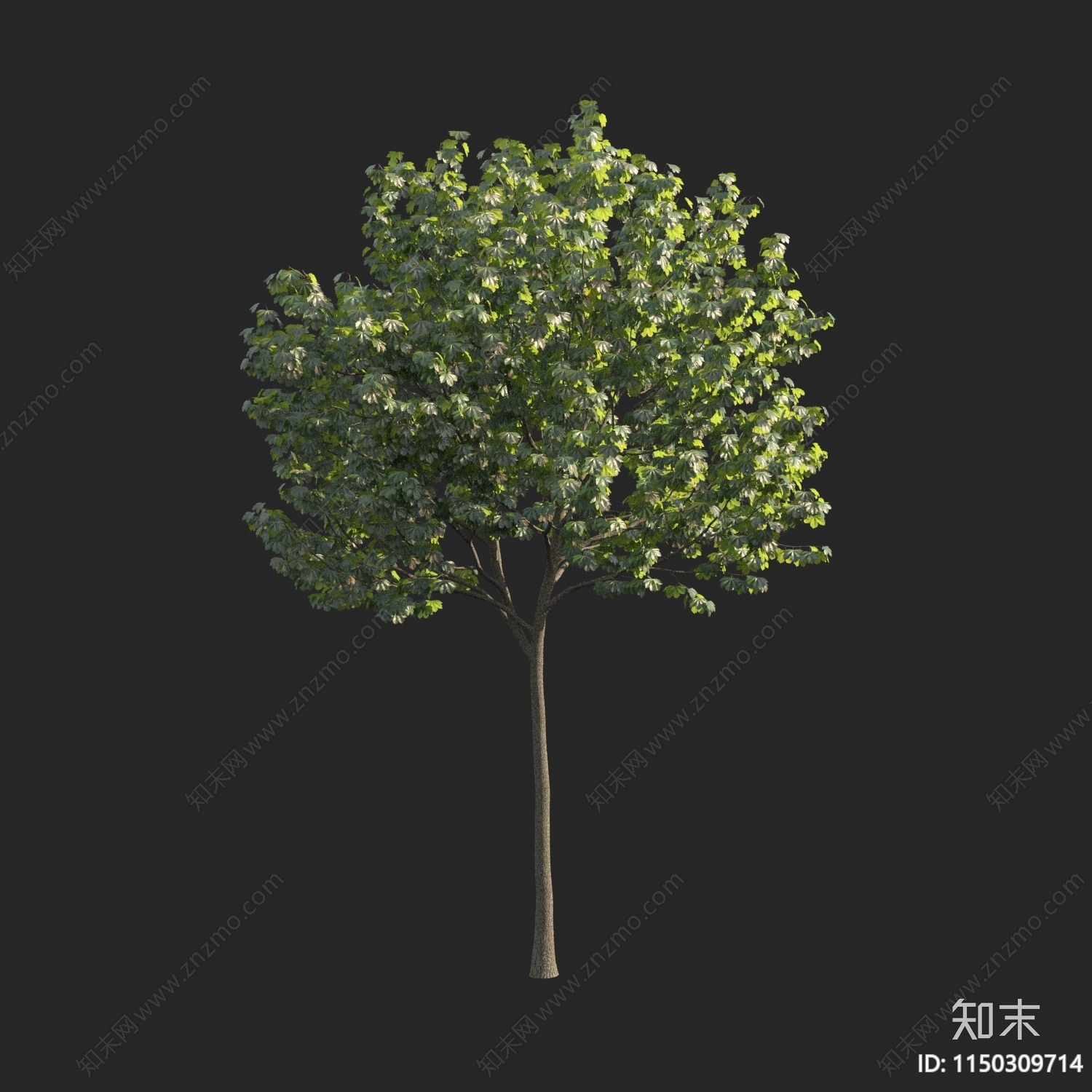 现代树3D模型下载【ID:1150309714】