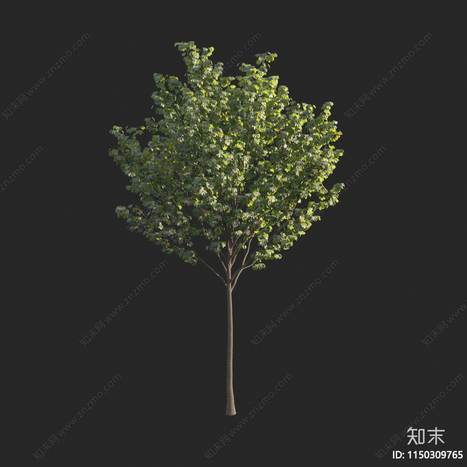 现代树3D模型下载【ID:1150309765】