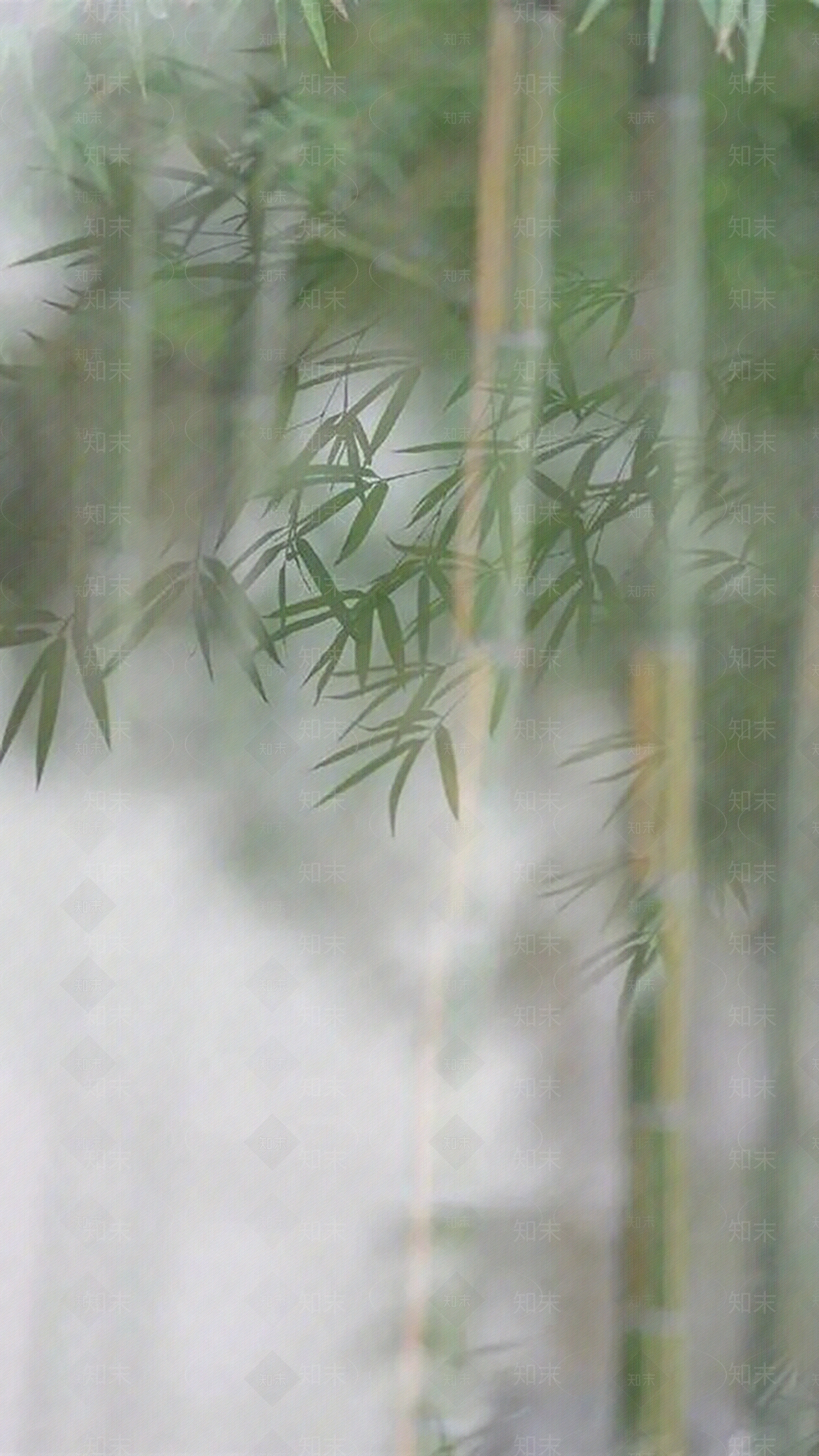 竹子背景磨砂玻璃贴图下载【ID:1150318393】