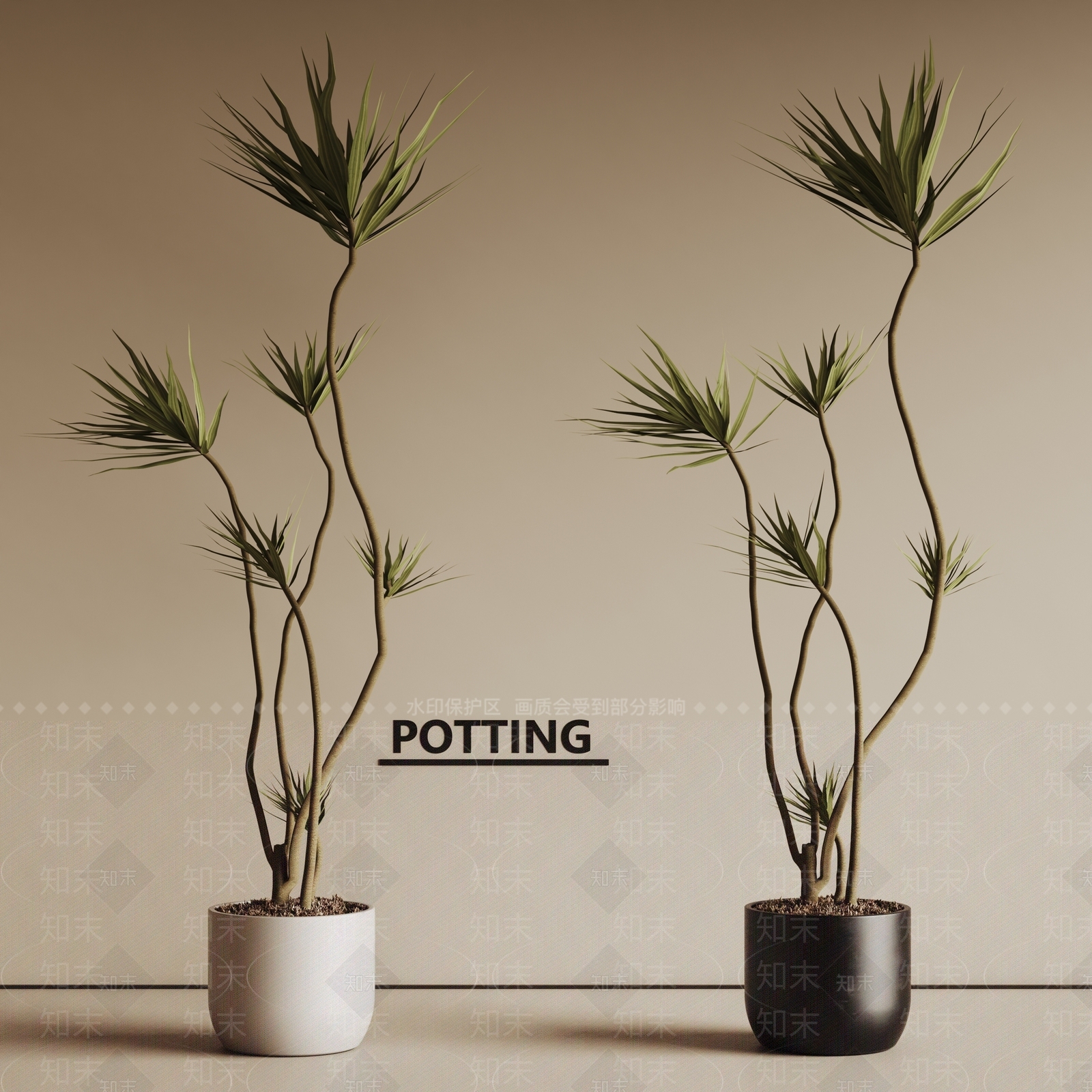 现代盆栽盆景3D模型下载【ID:1150326550】