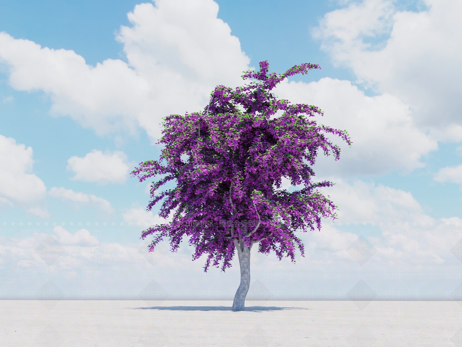 三角梅3D模型下载【ID:1150328173】