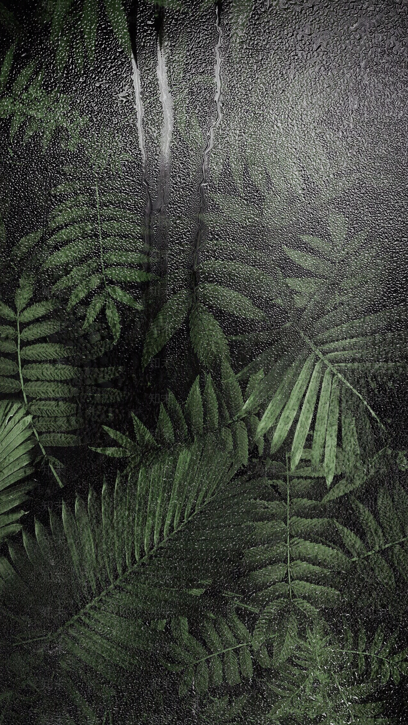 植物背景磨砂玻璃贴图下载【ID:1150337011】