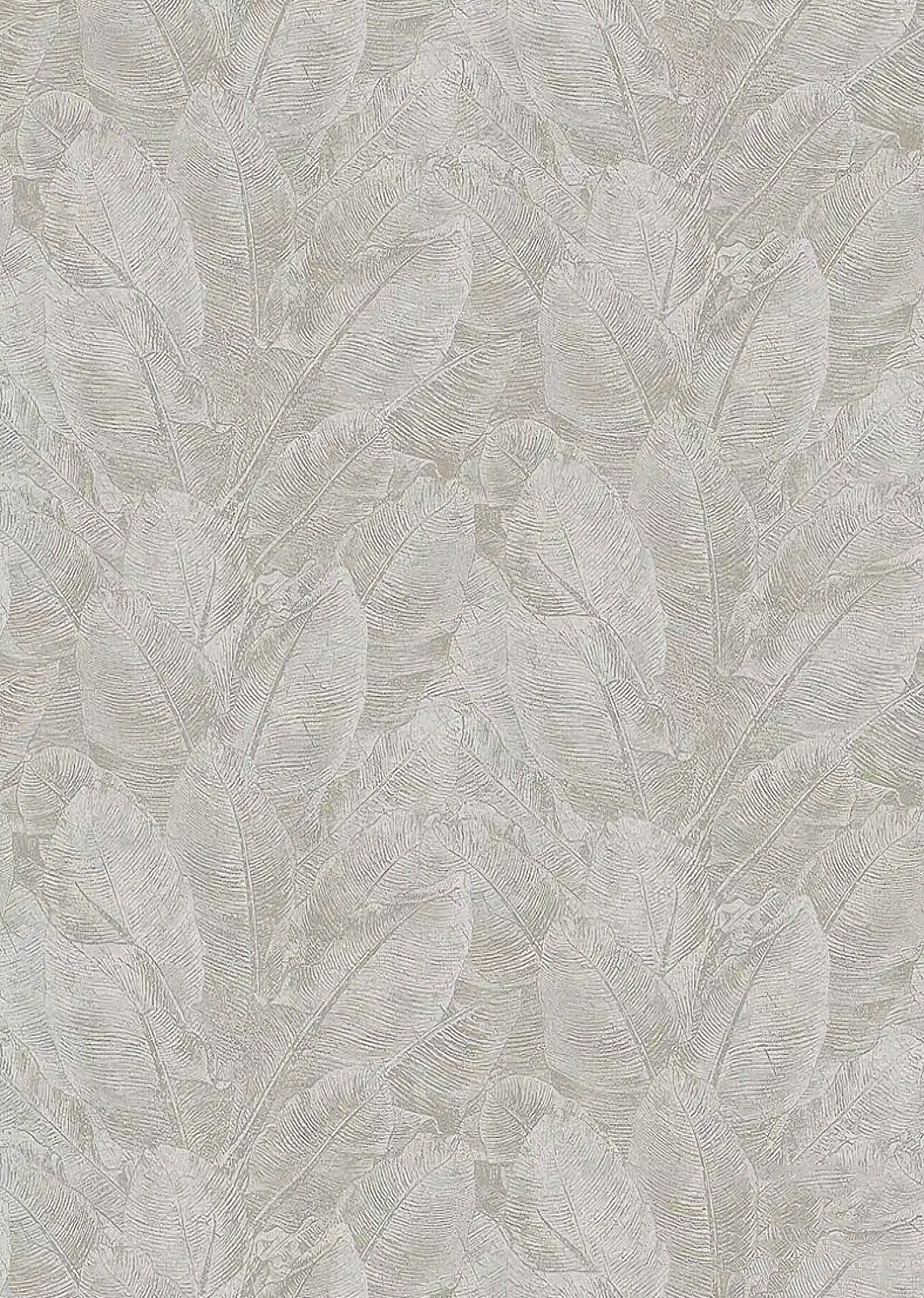 灰色热带植物纹理肌理漆贴图下载【ID:1150385282】