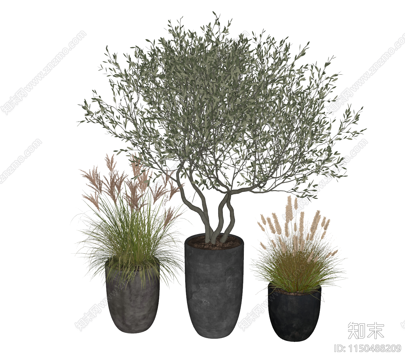 盆栽SU模型下载【ID:1195676849】