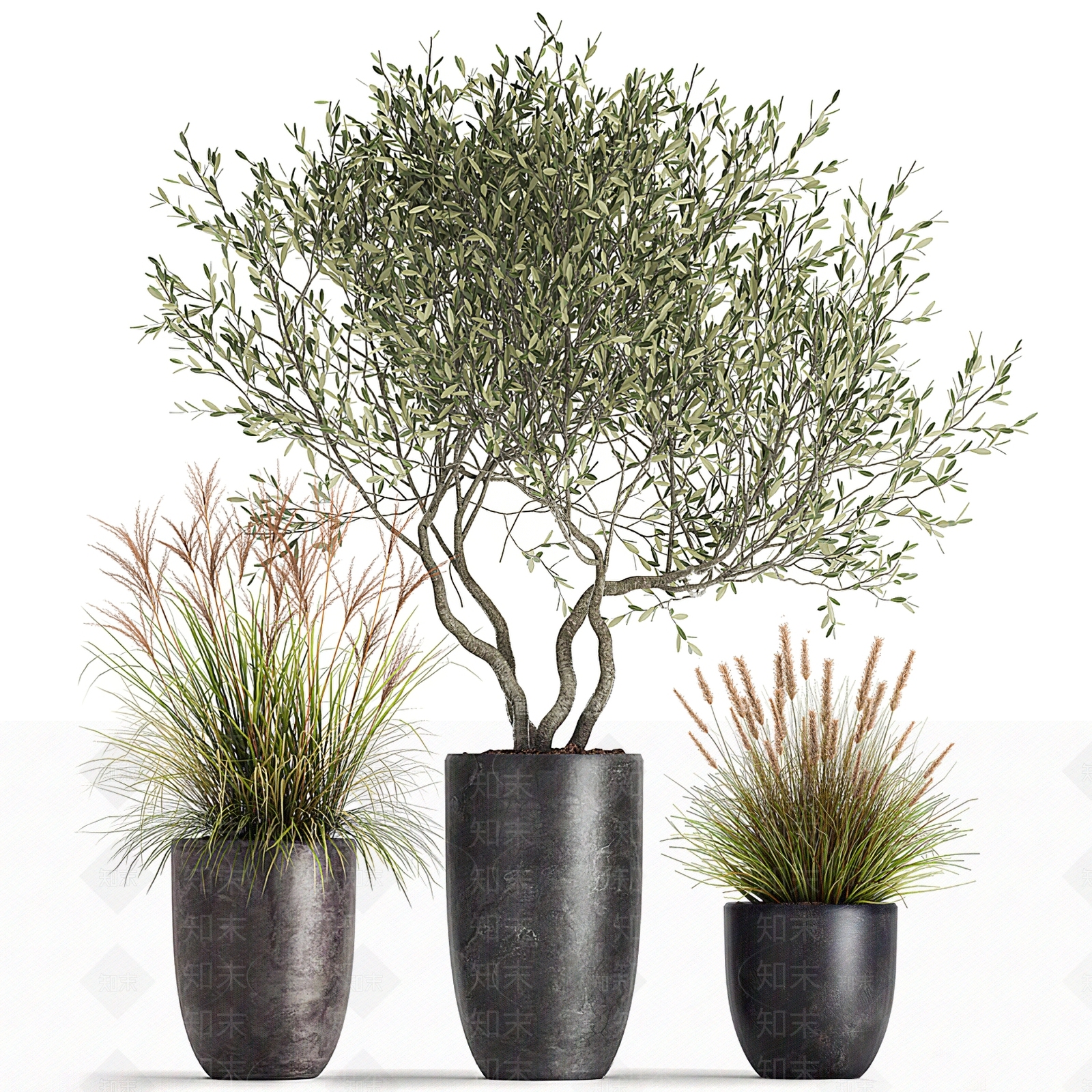 盆栽SU模型下载【ID:1195676849】