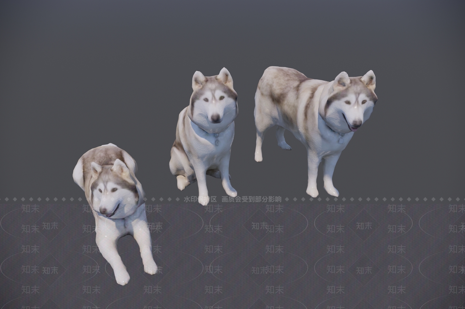 哈士奇宠物狗SU模型下载【ID:1150561034】