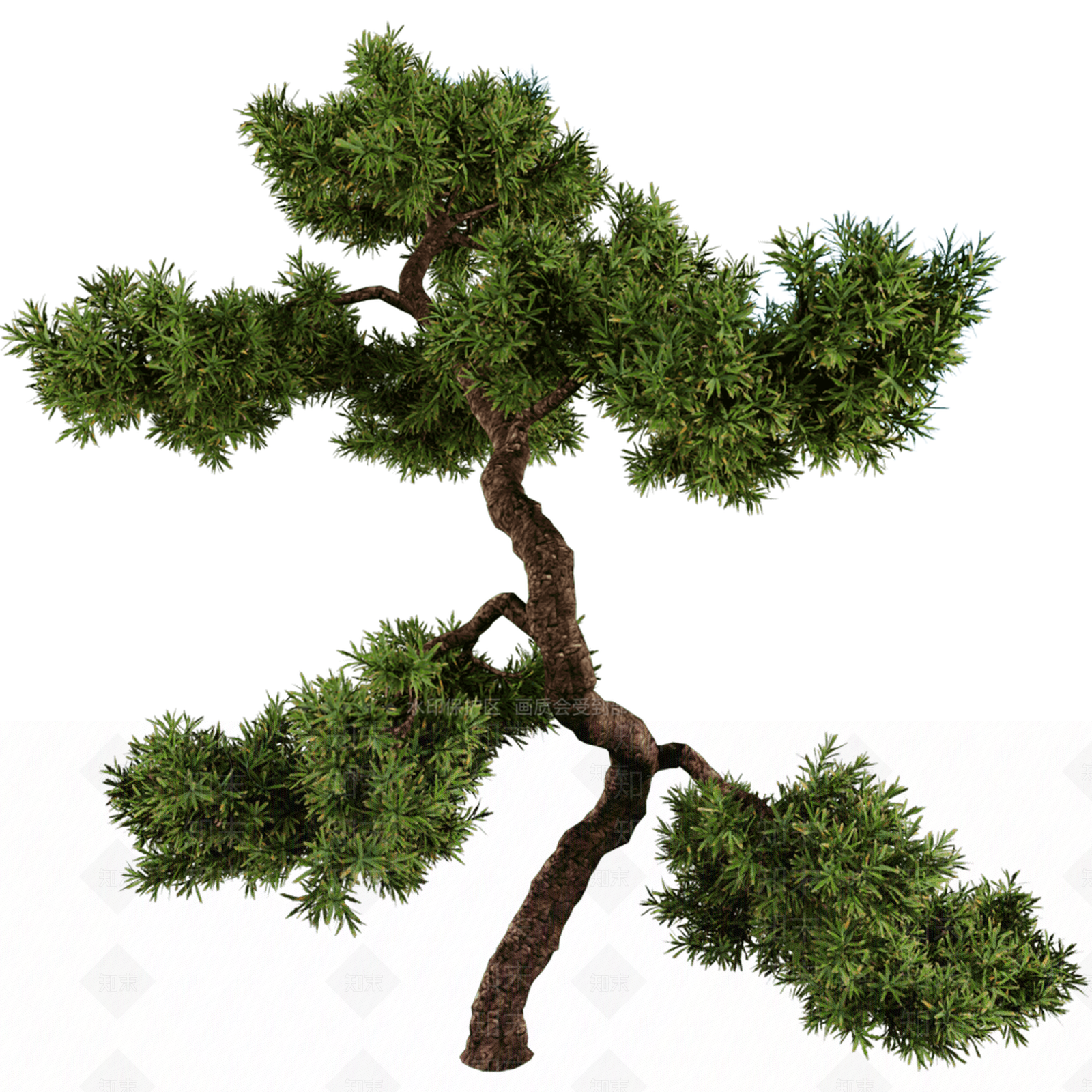 景观树3D模型下载【ID:1150562595】