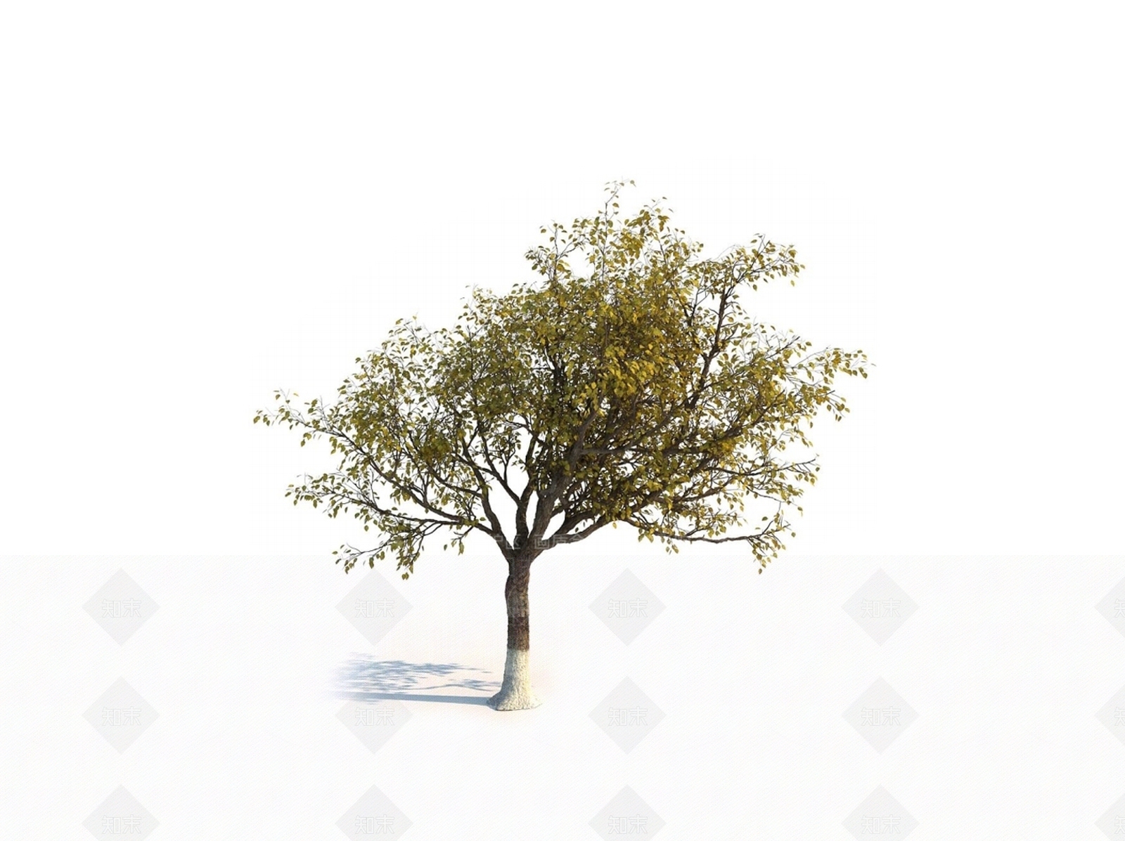 乔木3D模型下载【ID:1150590813】