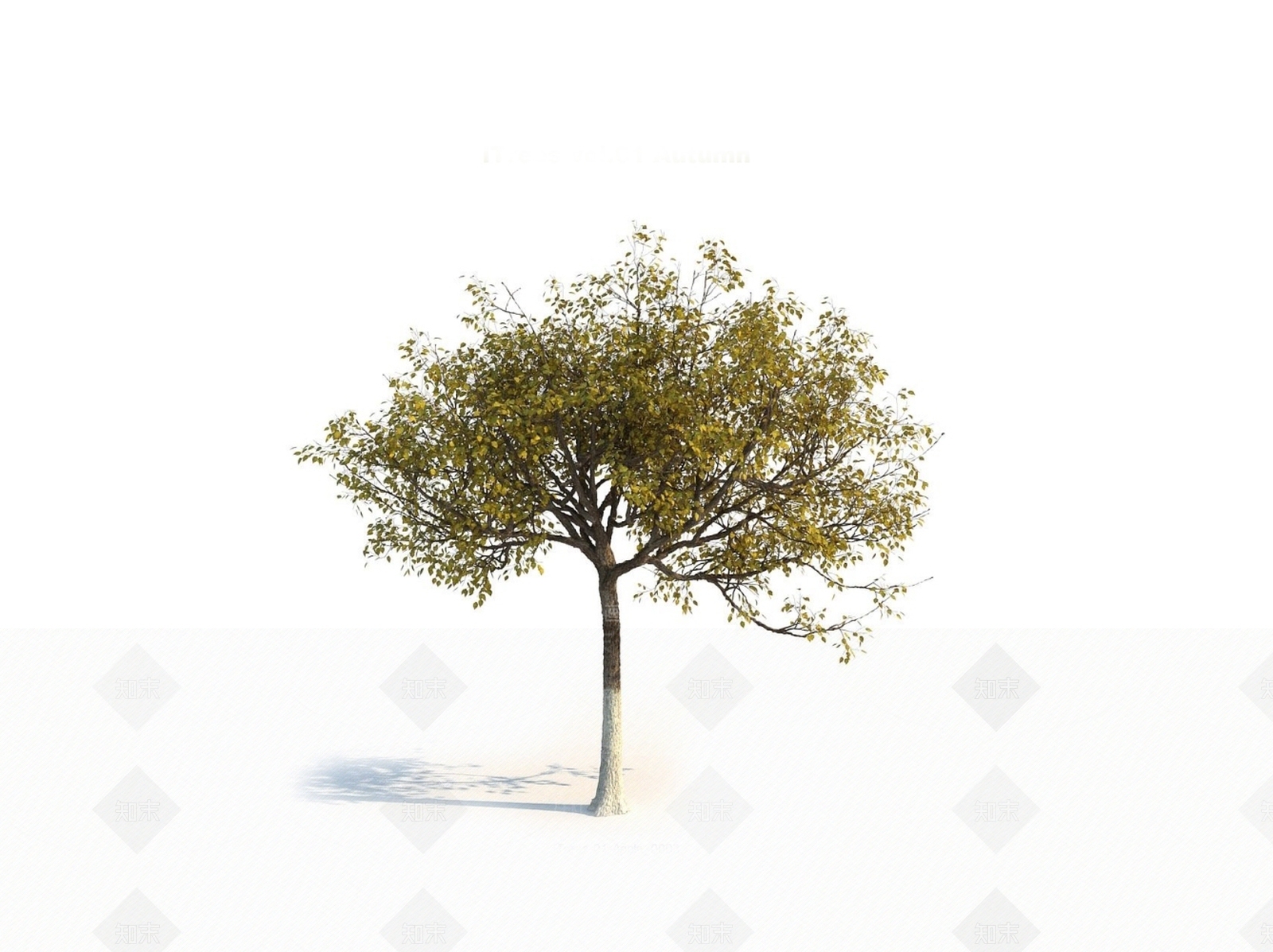 乔木3D模型下载【ID:1150591021】