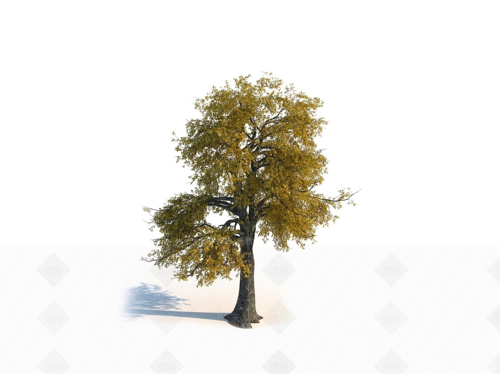 乔木3D模型下载【ID:1150591387】